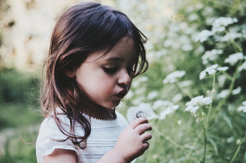 A young girl blowing on a dandelion puff.