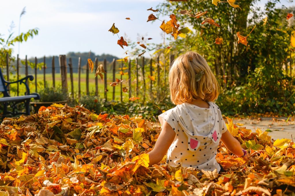 A young child sitting in a pile of leaves on an autumn day.